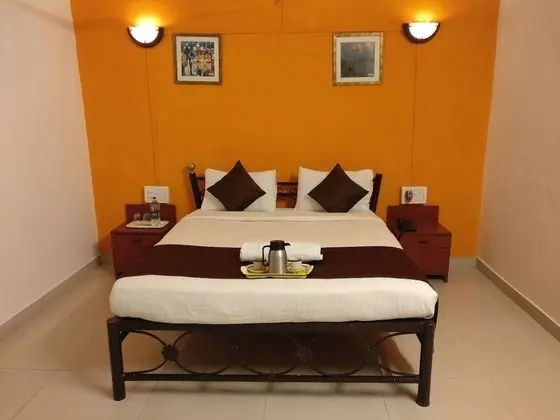 Deluxe Oda, 1 Yatak Odası (Airconditioned)