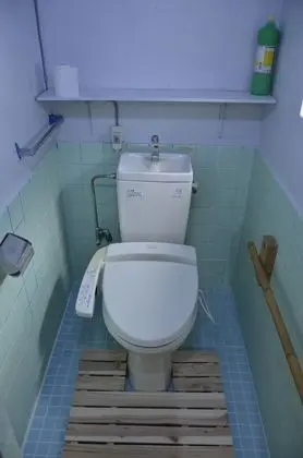 Ev