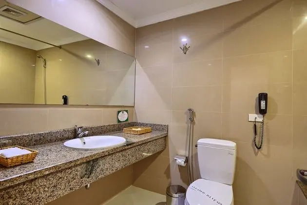 Deluxe İki Ayrı Yataklı Oda, 1 Yatak Odası, Şehir Manzaralı