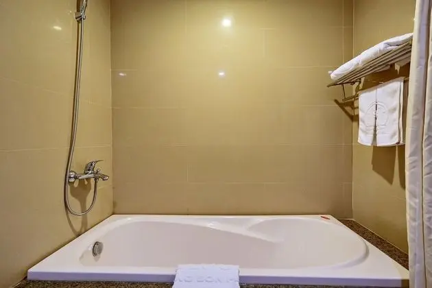 Deluxe İki Ayrı Yataklı Oda, 1 Yatak Odası, Şehir Manzaralı