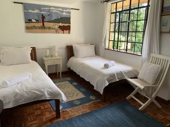 Deluxe İki Ayrı Yataklı Oda, 2 Tek Kişilik Yatak, Sigara İçilmez