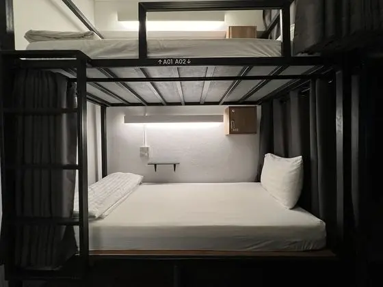 12-Bed Mixed Dormitory Shared Bathroom