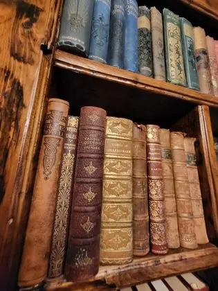 Standard Dört Kişilik Oda, Banyolu/Duşlu (Libraryum)