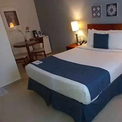 Executive Superior Room