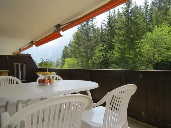 Apart Daire, 1 Yatak Odası (Cleaning fee 100CHF)