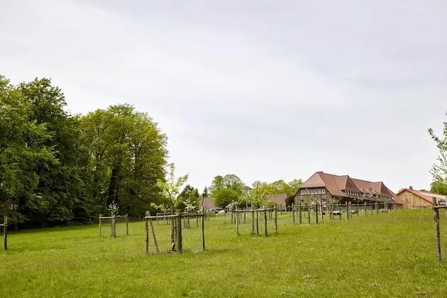 Apart Daire (2 guests - plus cleaning fee 40 EUR)