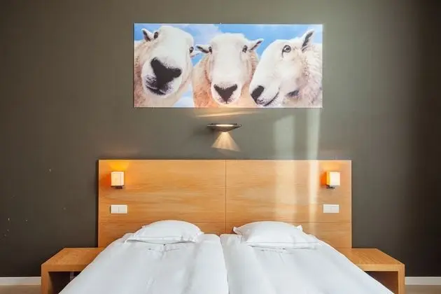 Luxury Tek Büyük Yataklı Oda