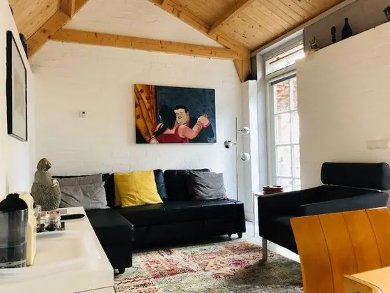 Deluxe Kır Evi (Het Zadelhuis)