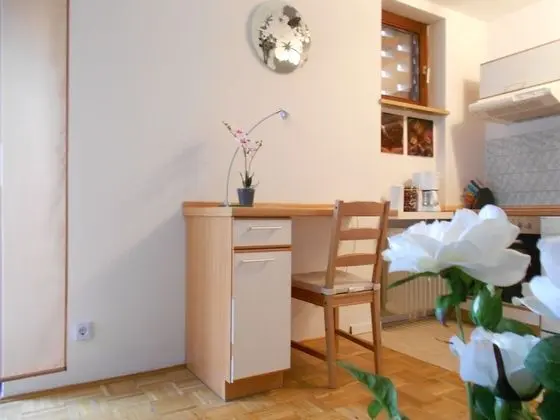 Stüdyo, 1 Çift Kişilik Yatak ve Çekyat, Balkon (incl. EUR 25 cleaning fee)