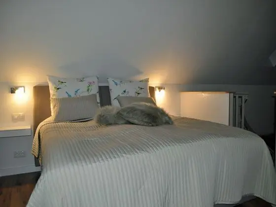 Superior Tek Büyük Yataklı Oda, Teras