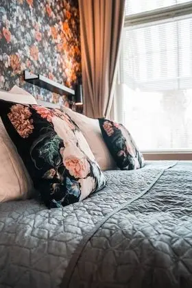 Deluxe Stüdyo Süit