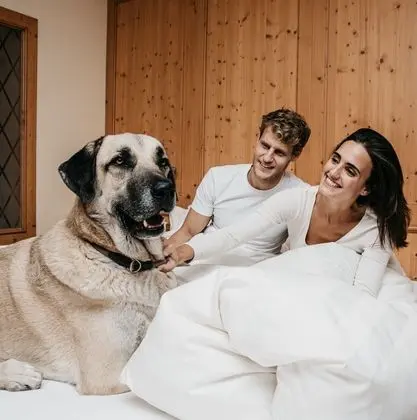 Basic Tek Büyük Yataklı Oda, 1 Büyük (Queen) Boy Yatak, Dağ Yamacı