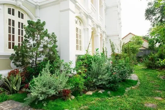 Terrace Deluxe