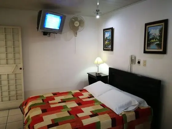 Tek Büyük Yataklı Oda, 1 Çift Kişilik Yatak, Sigara İçilmez