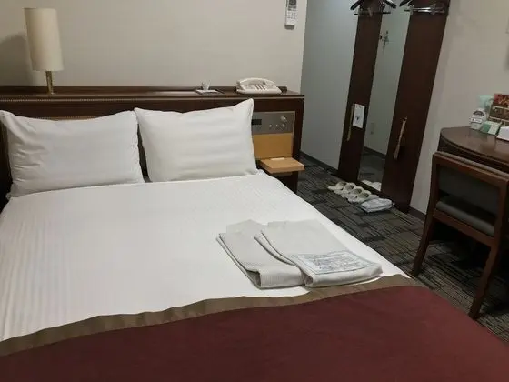 Economy Tek Büyük Yataklı Oda, Sigara İçilmez (Hot Spring Simple Stay, Breakfast)