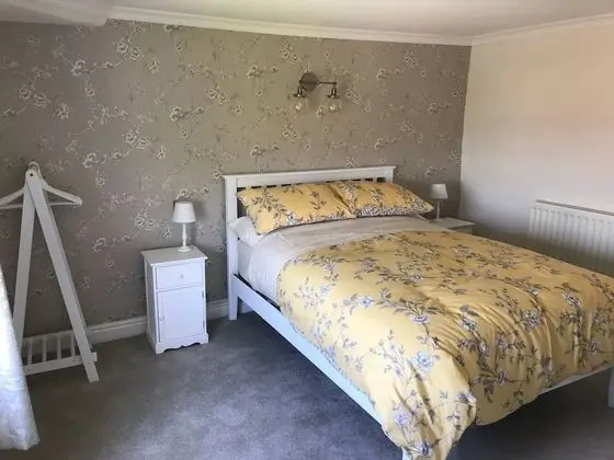 Deluxe Tek Büyük Yataklı Oda (Room 6)
