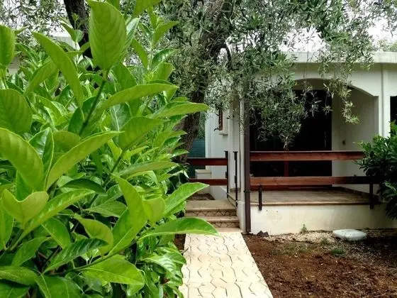 Ev, 2 Yatak Odası, Balkon