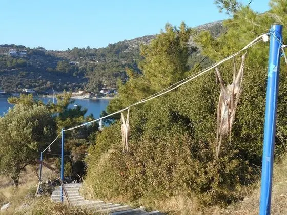 Apart Daire, 1 Yatak Odası, Balkon