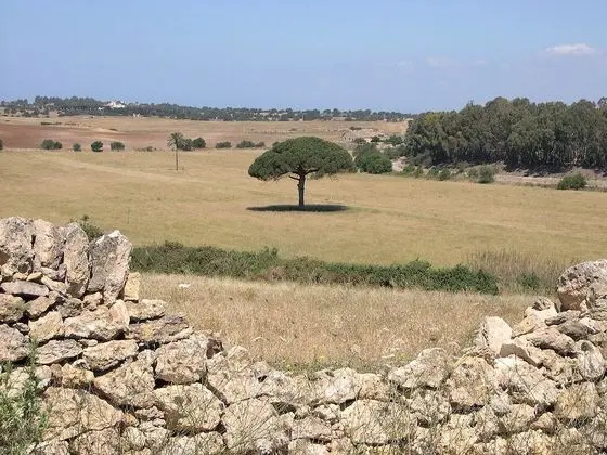 Apart Daire, 2 Yatak Odası, Sigara İçilebilir, Balkon