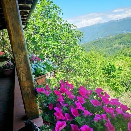 Ev, 2 Yatak Odası, Veranda