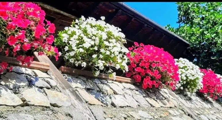 Ev, 2 Yatak Odası, Veranda