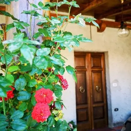 Ev, 2 Yatak Odası, Veranda