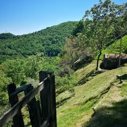 Ev, 2 Yatak Odası, Veranda