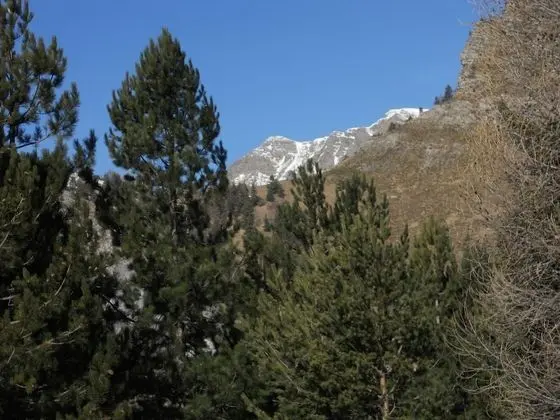 Apart Daire, 1 Yatak Odası, Sigara İçilebilir, Teras