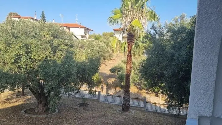 Apart Daire, Birden Çok Yatak