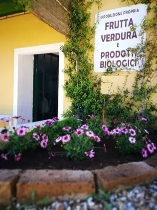 Çatı Katı (Loft), 2 Yatak Odası, Veranda