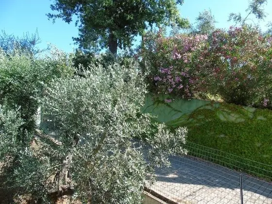 Çatı Katı (Loft), 2 Yatak Odası, Veranda