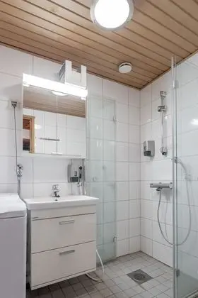 Apart Daire, 1 Yatak Odası, Sauna (32 m2)