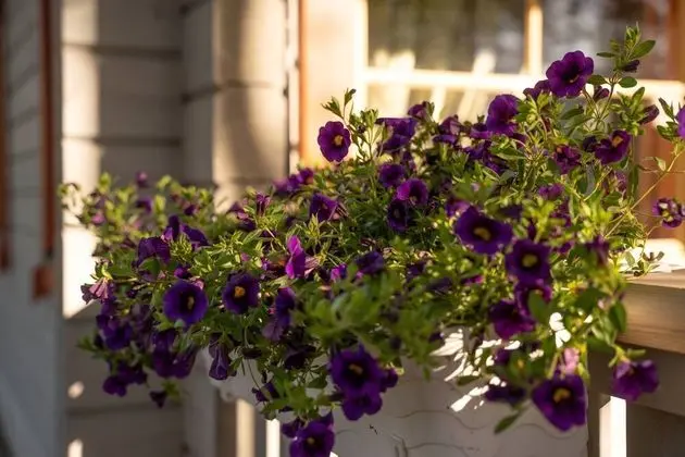 Standard Kır Evi, 2 Yatak Odası, Göl Manzaralı, Göl Kenarı
