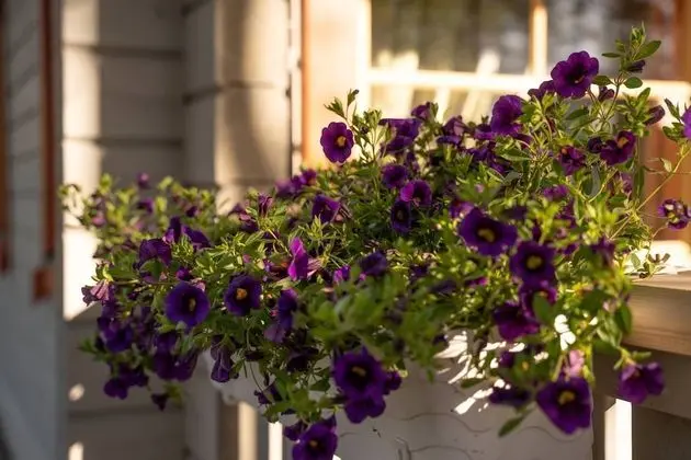 Standard Kır Evi, 2 Yatak Odası, Kısmi Göl Manzaralı, Göl Kenarı