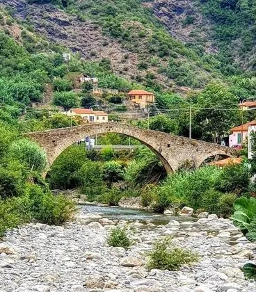 Apart Daire, Birden Çok Yatak