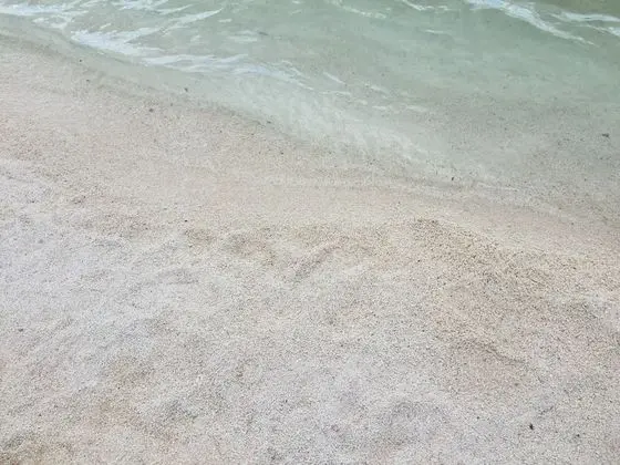 Ev, Birden Çok Yatak