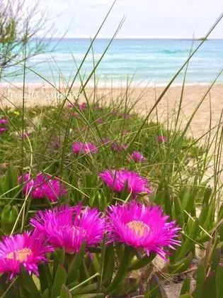 Ev, 1 Yatak Odası, Engellilere Uygun, Buzdolabı