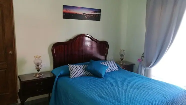 Tek Büyük Yataklı Oda, Balkon, Bahçe Manzaralı