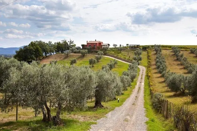 Villa, 3 Yatak Odası, Engellilere Uygun, Veranda