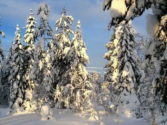 Family Ev, 3 Yatak Odası, Sigara İçilmez, Sauna