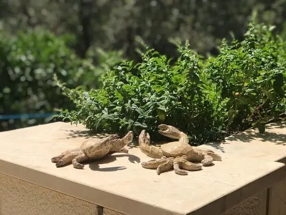 Apart Daire (Five Bedroom Apartment)