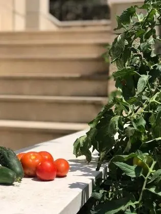 Apart Daire (Five Bedroom Apartment)