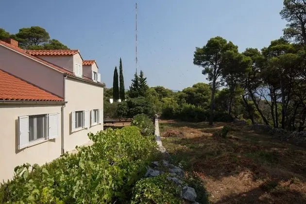 Ev (Three Bedroom Apartment - Terrace and)