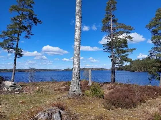 Ev, 2 Yatak Odası, Teras