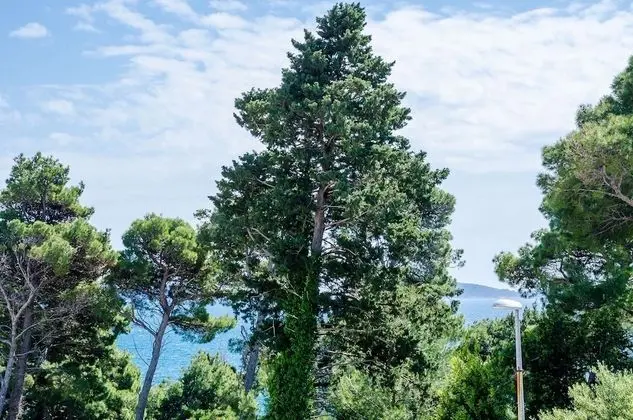 Ev (Three Bedroom Holiday Home)
