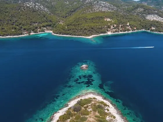 Ev (Five Bedroom House)