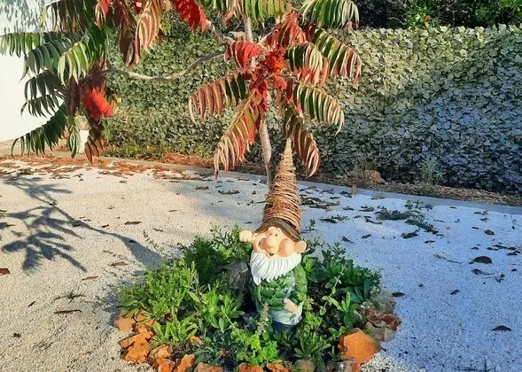 Ev, Birden Çok Yatak