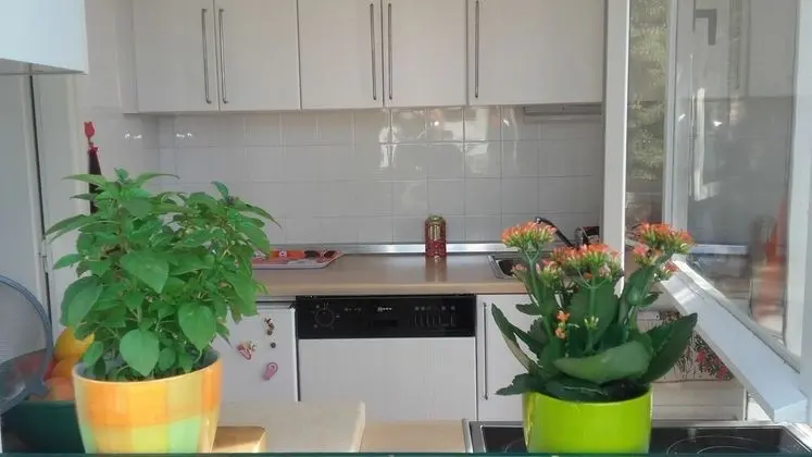 Ev (Three Bedroom Holiday Home)