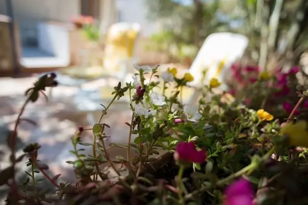 Apart Daire, 1 Yatak Odası, Sigara İçilebilir, Balkon