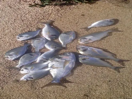 Ev (Two Bedroom Holiday Home)